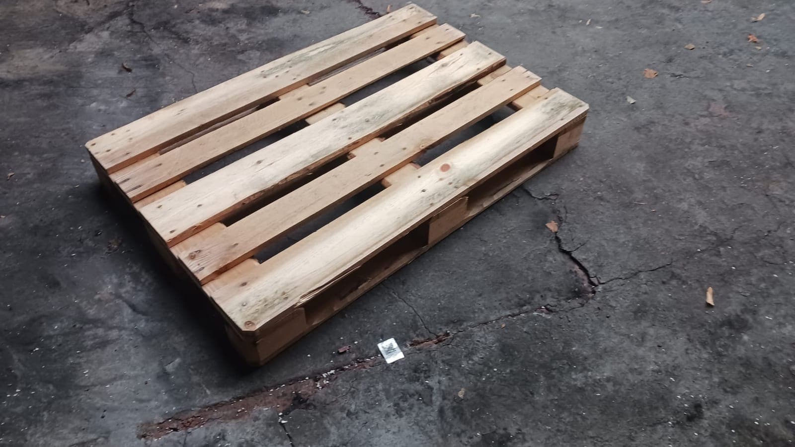 Standard wooden pallet 80 × 120 cm