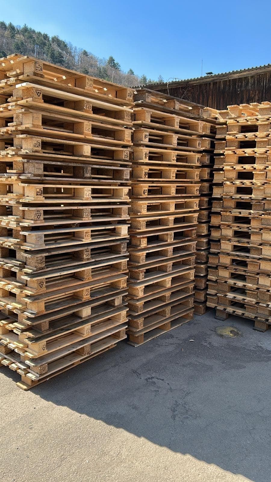 CP chemical pallets in stock at MMLES