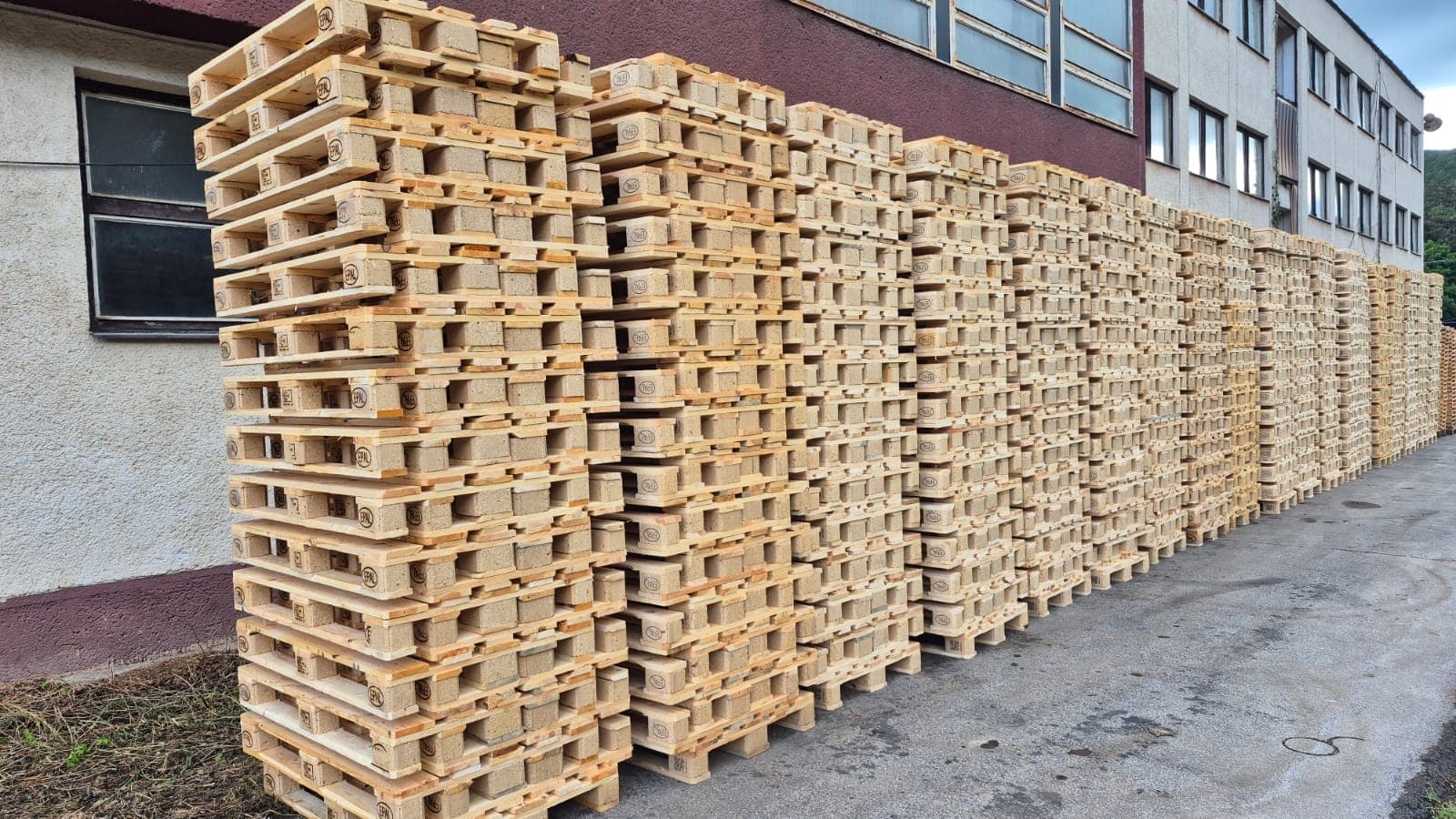 Stacks of new Euro pallets beside the MMLES warehouse
