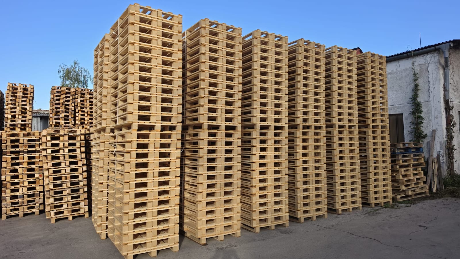Stacks of lightweight pallets in the MMLES yard