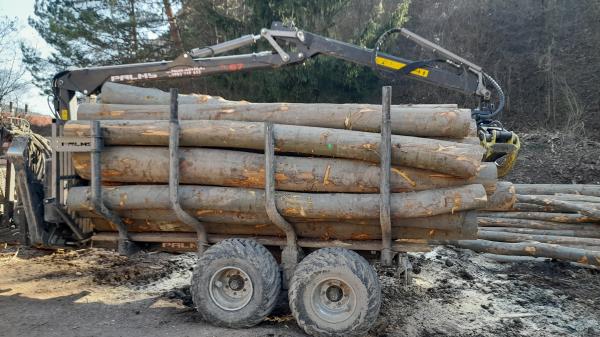 Mäkké palivové drevo 4 metrové dĺžky, cena za 5m3